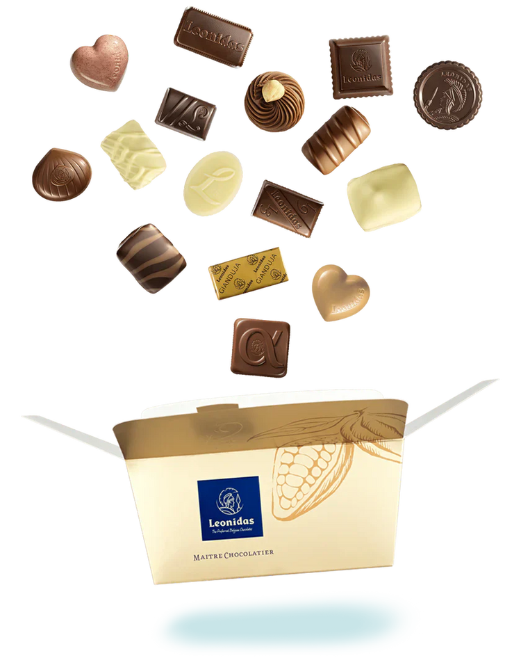 ყველაზე პოპულარული ბალოტინები